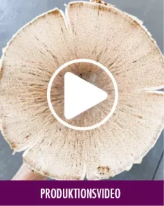 Graphic image of MV_Flyout_Produktionsvideo_D_1920x1920 - Homepage