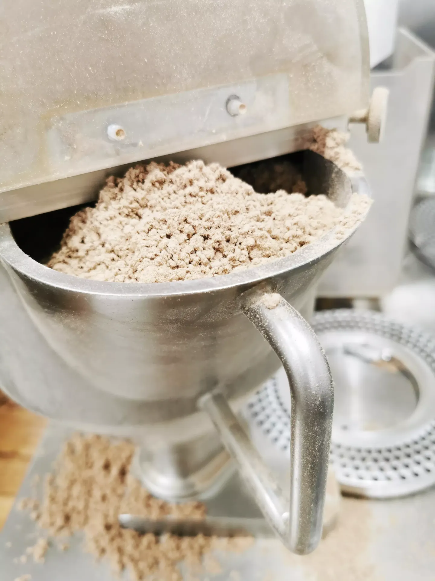 Graphic image of MV_Kategorie_Vitalpilze - Medicinal Mushrooms