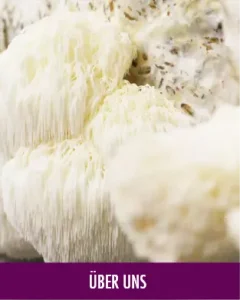 Graphic image of MV_ueber_uns_D - Homepage