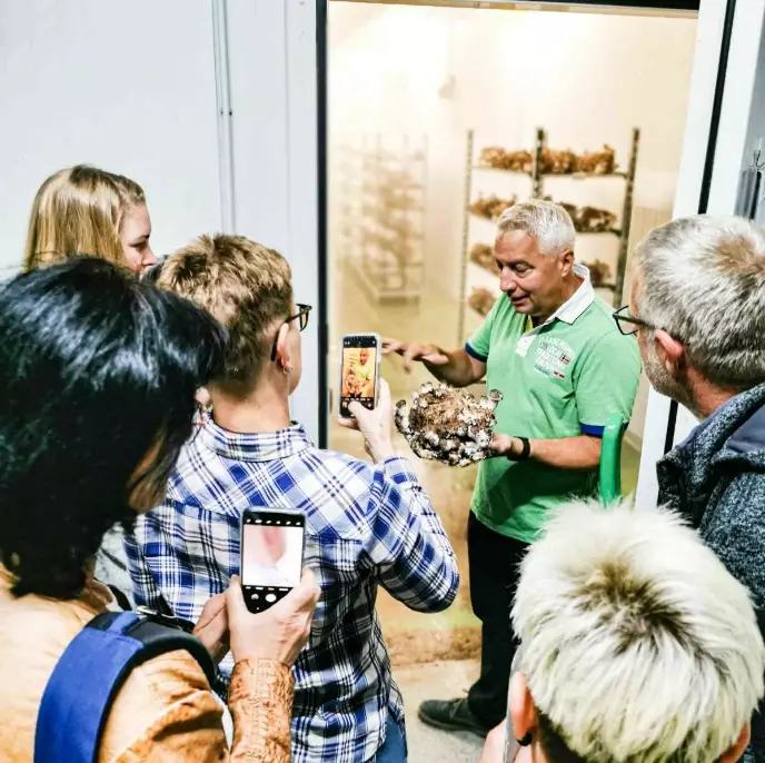 Graphic image of Nachhaltigkeit-Prev - Homepage