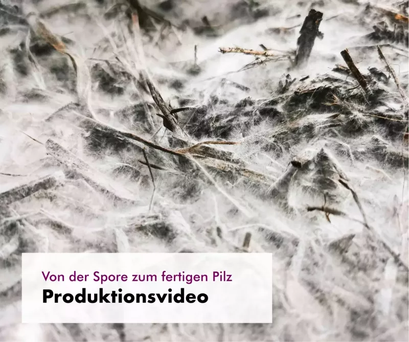 Graphic image of Produktionsvideo-800×800 - Homepage