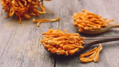 Graphic image of iStock - Medicinal Mushrooms