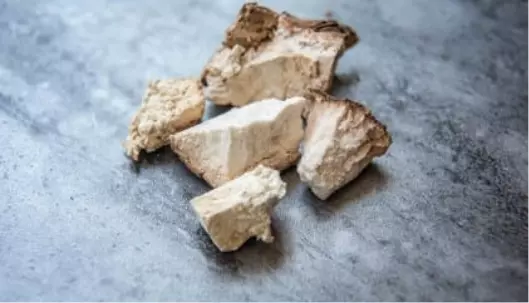 Graphic image of poria-cocos-cov - Medicinal Mushrooms