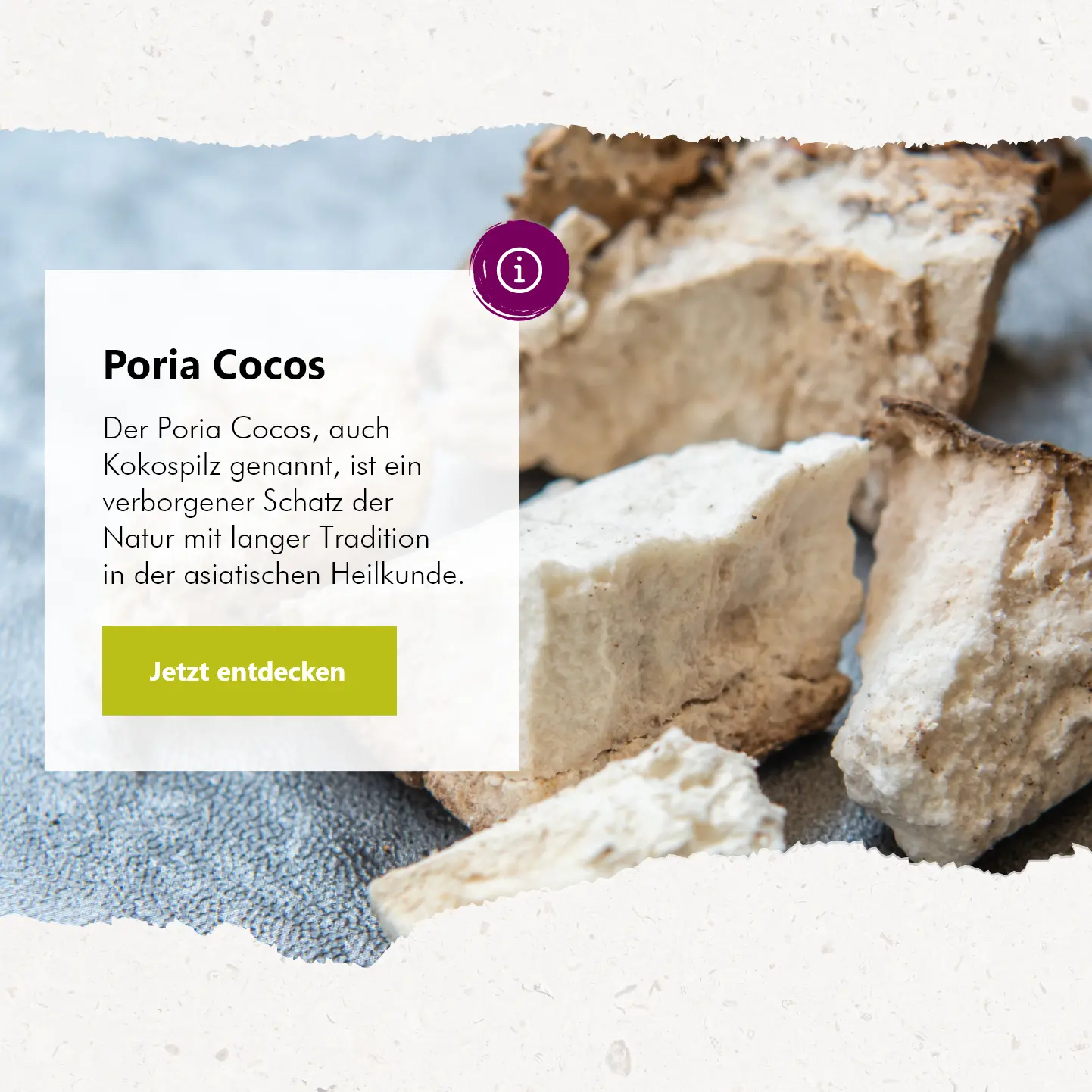Graphic image of poria-cocos-mbl-banner - Homepage