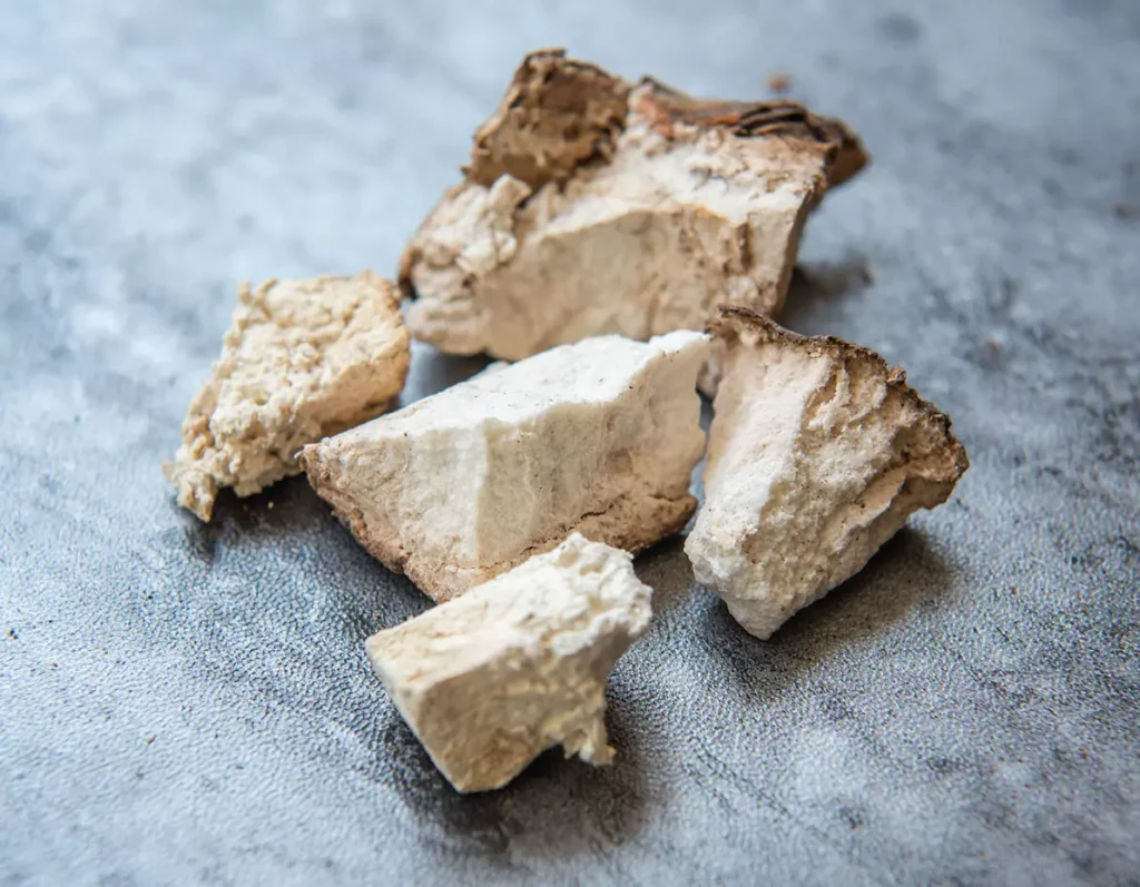 PoriaCocos_Kategorie_Header