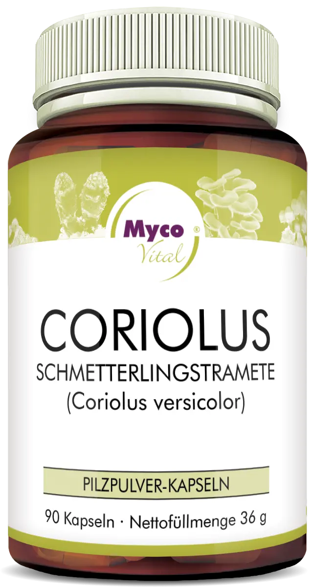 MycoVital_ Un frasco etiquetado Myco Vital Coriolus Schmetterlingstramete (Coriolus versicolor) que contiene 90 cápsulas de polvo de setas con un peso neto de 36 g. La etiqueta muestra imágenes abstractas de setas.