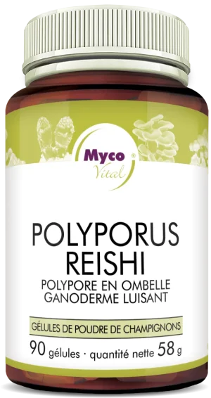MycoVital_ Un flacon brun de gélules de poudre de champignon MycoVital Polyporus Reishi avec un couvercle vert et une étiquette blanche affichant un texte en allemand et des images de champignons. Le flacon contient 90 gélules, soit 58 g au total.