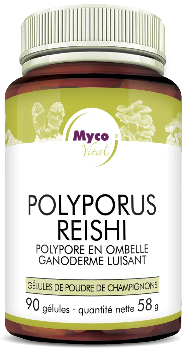 MycoVital_ Un flacon brun de gélules de poudre de champignon MycoVital Polyporus Reishi avec un couvercle vert et une étiquette blanche affichant un texte en allemand et des images de champignons. Le flacon contient 90 gélules, soit 58 g au total.