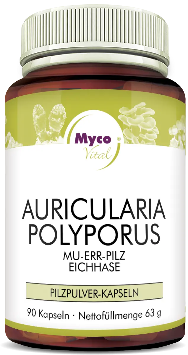 MycoVital_ Frasco marrón con la etiqueta Auricularia Polyporus mushroom powder capsules de MycoVital. La etiqueta indica 90 cápsulas, 63 g de peso neto, y presenta detalles en verde y morado con imágenes de setas.