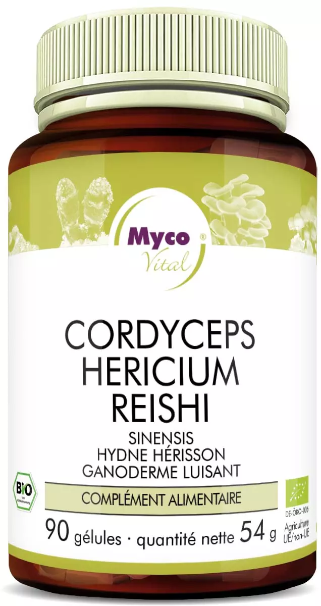 MycoVital – Un flacon brun portant l’inscription MycoVital Cordyceps Hericium Reishi – gélules de poudre de champignons biologiques contient 90 gélules de poudre de champignons. L’étiquette présente des illustrations de champignons ainsi que des logos de certification.