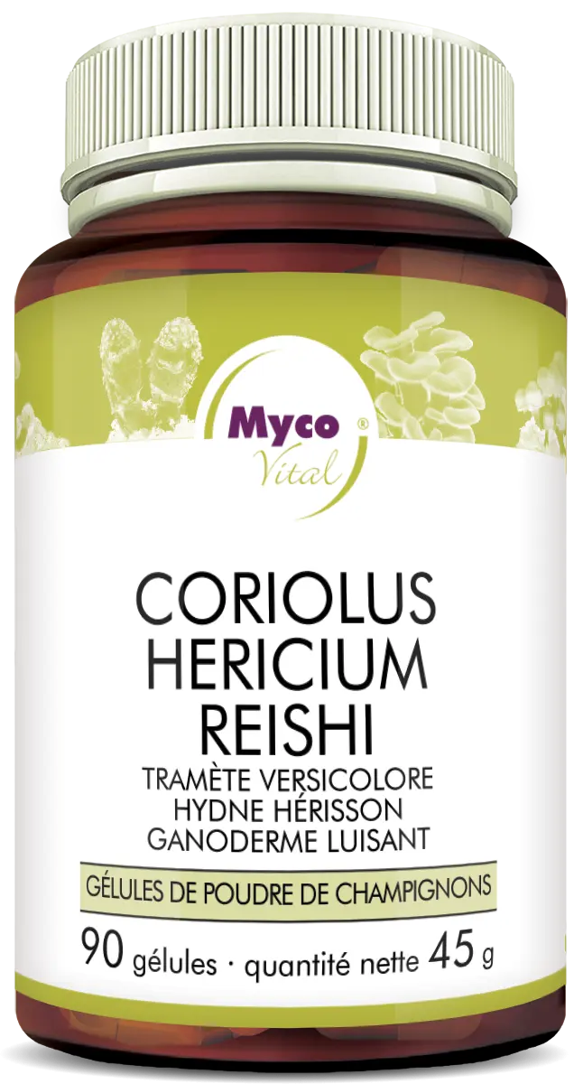 MycoVital – Un flacon brun portant l’inscription MycoVital Coriolus Pleurotus Reishi – gélules de poudre de champignons biologiques contient 90 gélules de poudre de champignons. L’étiquette présente des illustrations de champignons ainsi que des logos de certification.
