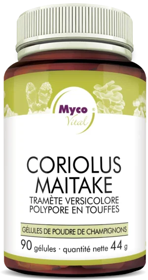 MycoVital – Un flacon brun portant l’inscription MycoVital Coriolus Maitake – gélules de poudre de champignons biologiques contient 90 gélules de poudre de champignons. L’étiquette présente des illustrations de champignons ainsi que des logos de certification.