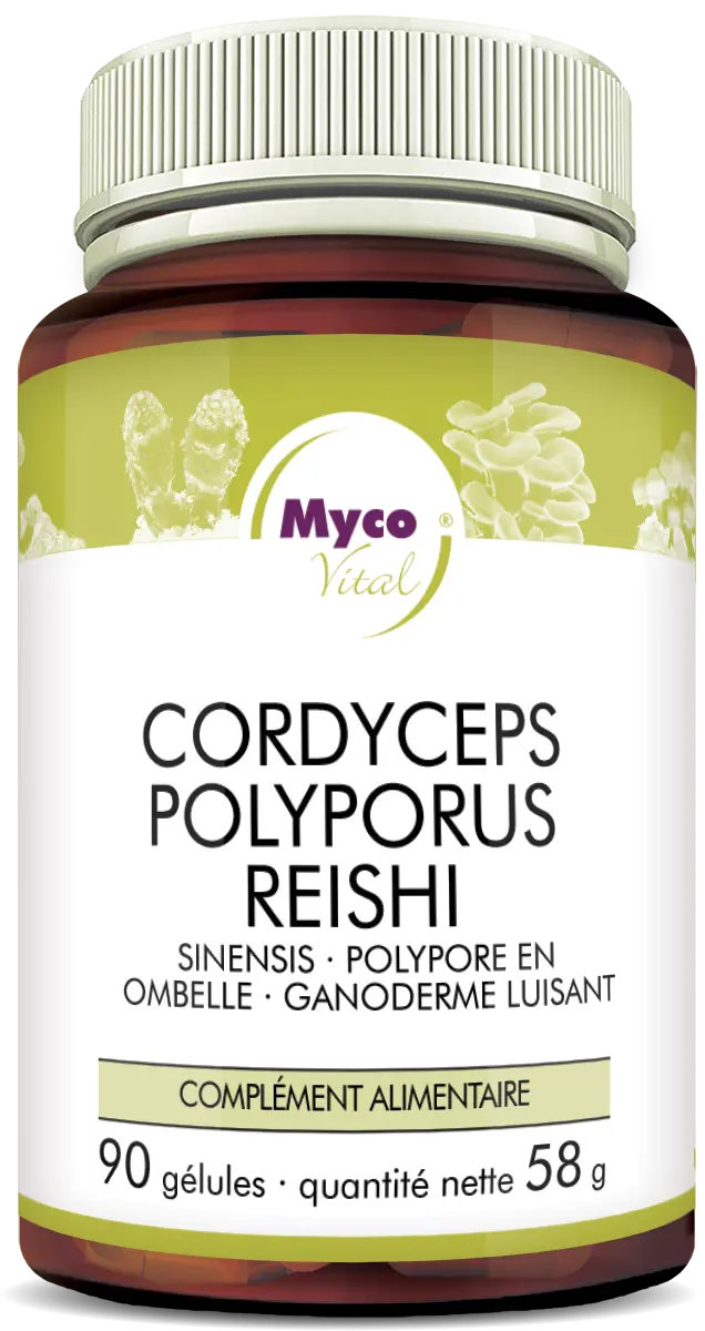 MycoVital_ Un pot brun et blanc étiqueté Myco Vital contient des gélules de Cordyceps, Polyporus et Reishi. L'étiquette est en allemand et mentionne 90 gélules, un poids net de 58 g et qu'il s'agit d'un complément alimentaire.