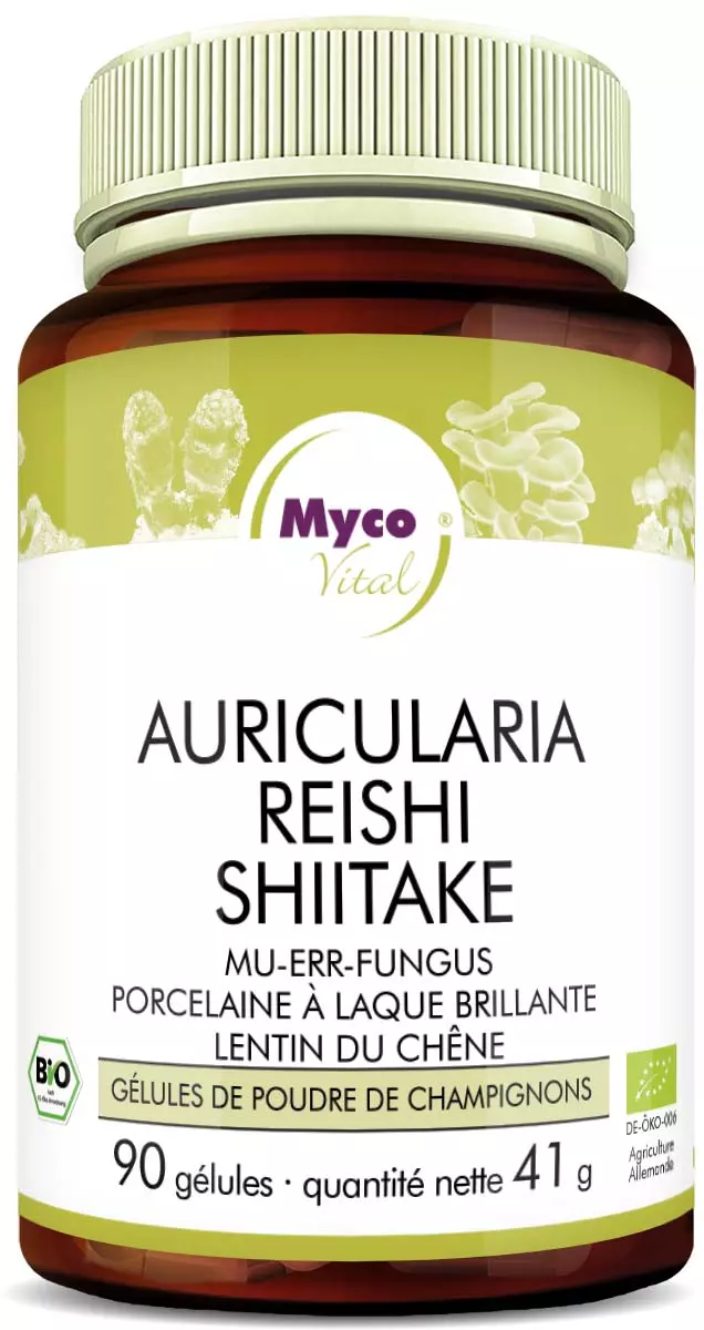 MycoVital_ Une bouteille marron et verte étiquetée Myco Vital contenant 90 gélules de poudre de champignons biologiques avec Auricularia, Reishi, Shiitake, et Glänzender Lackporling. L'étiquette est principalement blanche avec des accents verts.