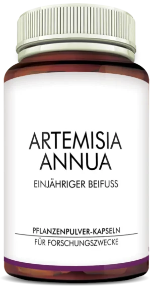 MycoVital_ Eine Flasche mit der Aufschrift Artemisia Annua Einjähriger Beifuss mit weißem Verschluss. Auf dem Etikett steht außerdem Pflanzenpulver-Kapseln für Forschungszwecke auf Deutsch.