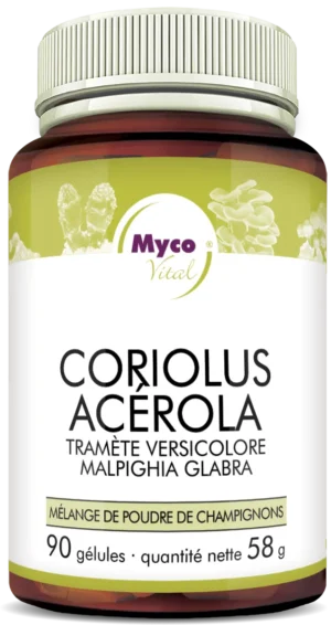 MycoVital_ Un flacon brun étiqueté Myco Vital Coriolus Acerola avec 90 gélules de poudre de champignon, avec des images de champignons et d'acérola au-dessus du texte. L'étiquette est rédigée en allemand avec des accents verts et violets.