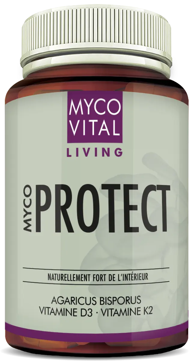 Flacon de complément alimentaire marron avec bouchon à vis blanc et étiquette vert menthe. Inscription « MycoVital Living – MYCO PROTECT ». En dessous, la mention « Naturellement fort de l’intérieur » ainsi que les ingrédients Agaricus bisporus, Vitamine D3 et Vitamine K2. En arrière-plan, une illustration discrète de champignons.
