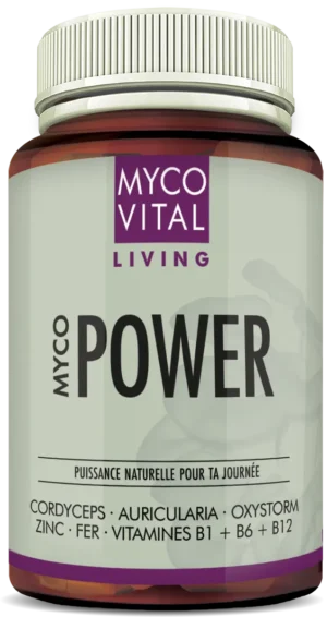Pot brun &laquo; MycoVital Living &ndash; MYCO POWER &raquo; avec couvercle blanc et accent violet, 90 g&eacute;lules, compl&eacute;ment alimentaire &agrave; base de Cordyceps, Auricularia, Oxystorm&reg;, zinc, fer et complexe de vitamines B.