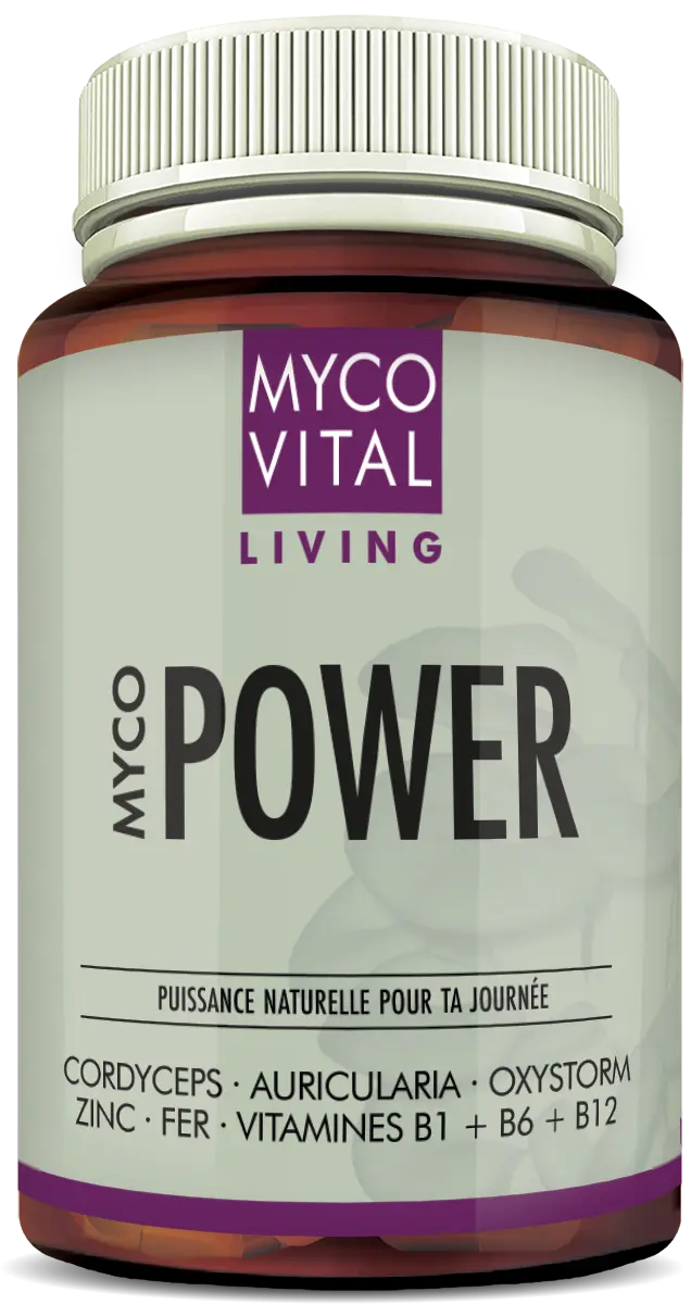 Pot brun « MycoVital Living – MYCO POWER » avec couvercle blanc et accent violet, 90 gélules, complément alimentaire à base de Cordyceps, Auricularia, Oxystorm®, zinc, fer et complexe de vitamines B.