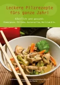 MycoVital_ Eine Schüssel mit gebratenem Gemüse und Pilzen mit Stäbchen steht auf einer Bambusmatte. Der Text darüber lautet: "Leckere Pilzrezepte fürs ganze Jahr! Köstlich und gesund: Champignons, Shiitake, Austernpilze, Hericium & Co.