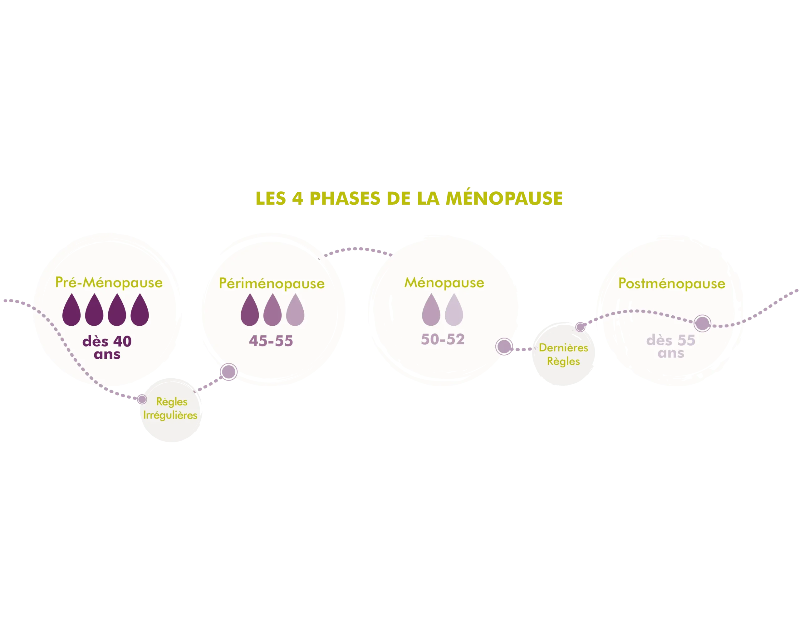 Infographie présentant les quatre phases de la ménopause : préménopause dès environ 40 ans avec des règles irrégulières, périménopause entre 45 et 55 ans, ménopause vers 50 à 52 ans avec les dernières règles, puis postménopause à partir d’environ 55 ans.