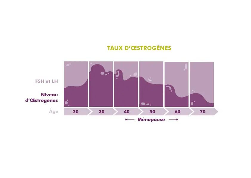 Illustration du taux d’hormones œstrogènes au cours de la vie. Une courbe graphique montre des variations hormonales entre environ 20 et 70 ans, avec une baisse marquée à un âge plus avancé.