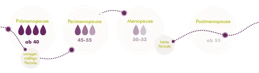 Graphic image of MV_Grafik_Wechseljahre-quer_4 Phasen_nb_1920x1920 - Wechseljahre