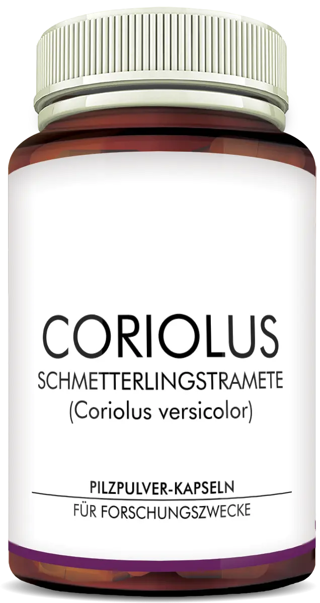 MycoVital_ Frasco marrón con etiqueta y tapón blancos que contiene cápsulas de polvo de hongo Coriolus versicolor, etiquetado para uso en investigación en alemán: PILZPULVER-KAPSELN FÜR FORSCHUNGSZWECKE.