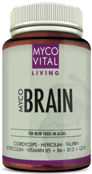 MycoVital_ Eine Flasche mit der Aufschrift MYCO VITAL LIVING MYCO BRAIN und der Angabe der Inhaltsstoffe: Cordyceps, Hericium, Taurin, Citicolin, Vitamin B5, B6, B12 und Q10. Das Etikett ist weiß mit violetten Akzenten.