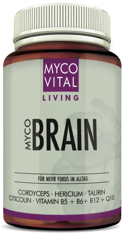 MycoVital_ Eine Flasche mit der Aufschrift MYCO VITAL LIVING MYCO BRAIN und der Angabe der Inhaltsstoffe: Cordyceps, Hericium, Taurin, Citicolin, Vitamin B5, B6, B12 und Q10. Das Etikett ist weiß mit violetten Akzenten.