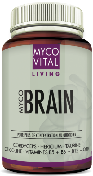 MycoVital_ Un flacon portant l’inscription MYCO VITAL LIVING MYCO BRAIN et l’indication des ingrédients : Cordyceps, Hericium, Taurine, Citicoline, Vitamine B5, B6, B12 et Q10. L’étiquette est blanche avec des accents violets.