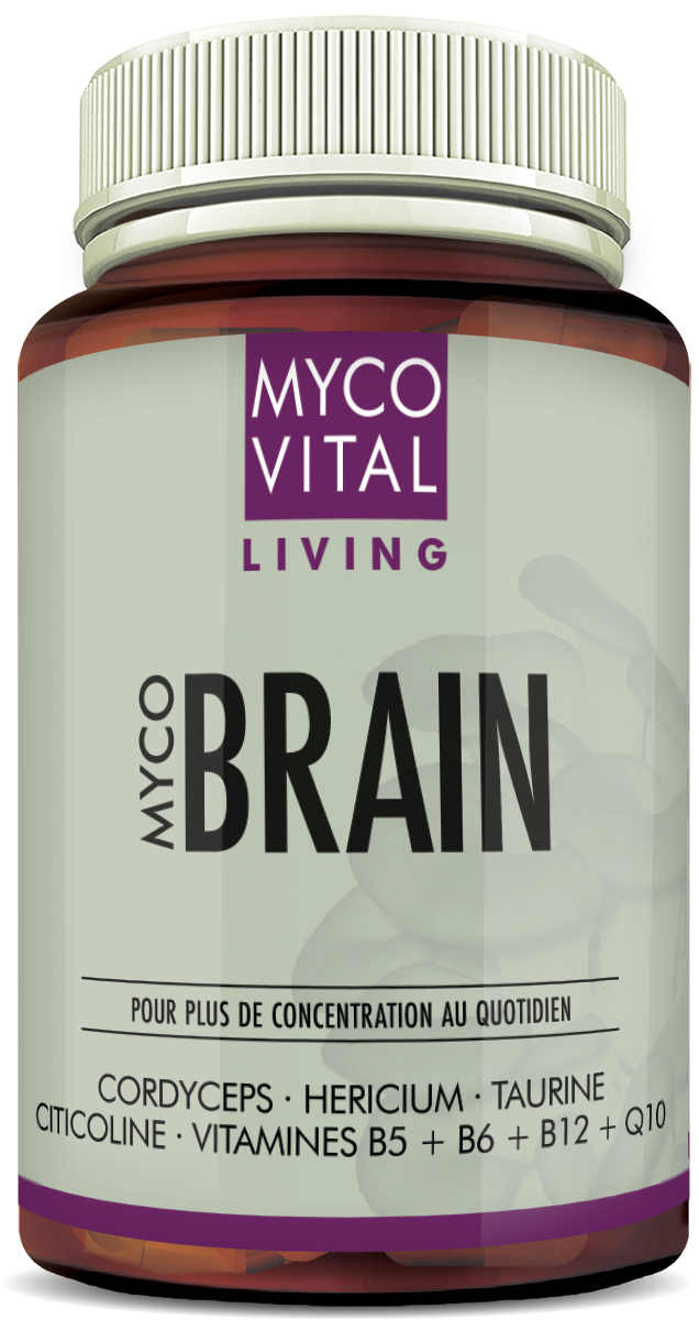 MycoVital_ Un flacon portant l’inscription MYCO VITAL LIVING MYCO BRAIN et l’indication des ingrédients : Cordyceps, Hericium, Taurine, Citicoline, Vitamine B5, B6, B12 et Q10. L’étiquette est blanche avec des accents violets.