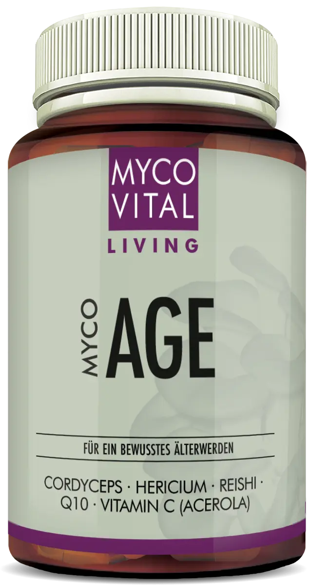MycoVital_ Eine Dose mit MYCOVITAL Living MYCO AGE Nahrungsergänzungsmitteln, die Inhaltsstoffe wie Cordyceps, Hericium, Reishi, Q10 und Vitamin C (Acerola) enthalten. Das Etikett ist weiß und lila mit deutschem Text.