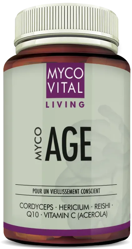 MycoVital_ Une boîte de compléments alimentaires MYCOVITAL Living MYCO AGE, contenant des ingrédients tels que le Cordyceps, l’Hericium, le Reishi, le Q10 et la vitamine C (Acérola). L’étiquette est blanche et violette avec du texte allemand.