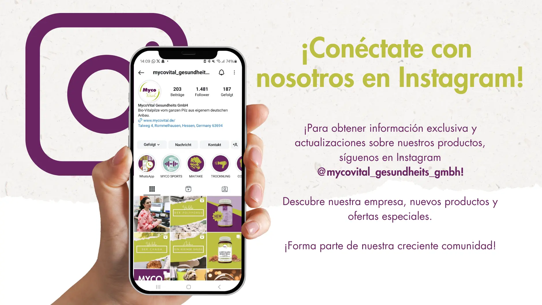 MycoVital_ Una mano sostiene un smartphone que muestra el perfil de Instagram de Mycovital Gesundheits GmbH. Un texto en alem&aacute;n invita a los usuarios a conectarse a Instagram para obtener informaci&oacute;n sobre productos y noticias de la empresa. El logotipo morado de Instagram aparece de fondo.