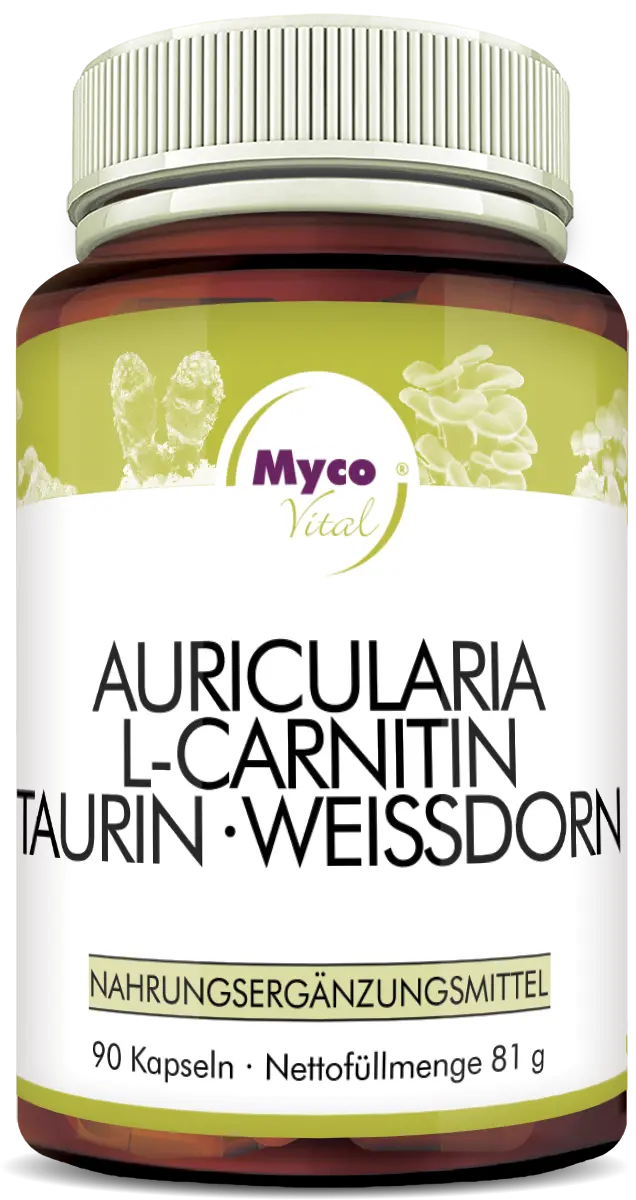 MycoVital_ Eine braune Flasche Myco Vital mit weißem Etikett, die 90 Kapseln mit Auricularia, L-Carnitin, Taurin und Weißdorn enthält. Das Etikett ist in deutscher Sprache und zeigt hellgrüne botanische Grafiken.