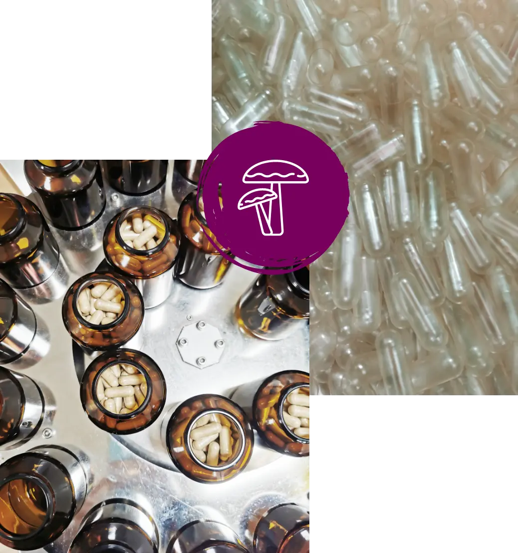 MycoVital_ Brown glass bottles filled with capsules are arranged on a metal surface, with a pile of empty clear capsules in the background. A purple circle with a white mushroom illustration overlays the image.