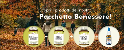 MycoVital_ Un gruppo di persone cammina in un parco con foglie autunnali. In primo piano immagini di prodotti: vasetti etichettati Reishi, Hericium, Cordyceps e un flacone contagocce. Un testo in tedesco promuove un FeelGood-Paket.