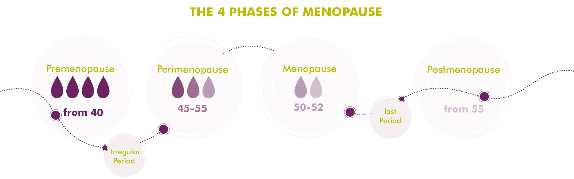MycoVital_ Infografik zu den 4 Phasen der Menopause: Pr&auml;menopause (ab 40), Perimenopause (45-55), Menopause (50-52, letzte Periode) und Postmenopause (ab 55), mit stilisierten Tropfen und Verbindungslinien.