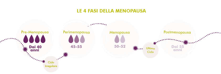 MycoVital_ Infografica che mostra le 4 fasi della menopausa: Premenopausa (a partire dai 40 anni), Perimenopausa (45-55), Menopausa (50-52, ultima mestruazione) e Postmenopausa (a partire dai 55 anni), ciascuna contrassegnata da icone a forma di goccia e da una linea temporale tratteggiata.