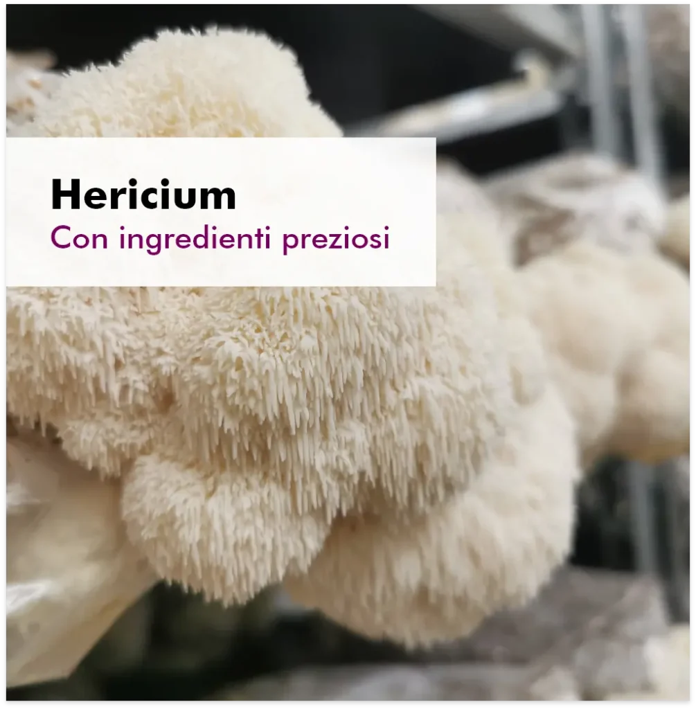 Graphic image of Categoria prodotti Hericium - Astaxantina in capsule, vegetariane, 4 mg