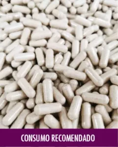 MycoVital_ Primer plano de muchas cápsulas blancas apiladas. En la parte inferior, una pancarta morada con la palabra alemana "VERZEHREMPFEHLUNG" (recomendación de consumo) escrita en blanco.
