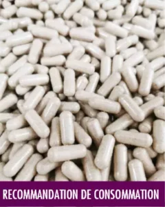 MycoVital_ Une pile de gélules beiges serrées les unes contre les autres, avec le mot allemand VERZEHREMPFEHLUNG (recommandation de consommation) inscrit sur une barre violette au bas de la gélule.