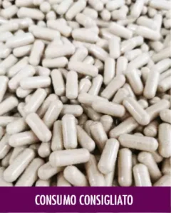 MycoVital_ Un grande mucchio di capsule bianche è mostrato in primo piano. Nella parte inferiore dell'immagine è presente una barra viola con la scritta tedesca VERZEHREMPFEHLUNG in bianco.