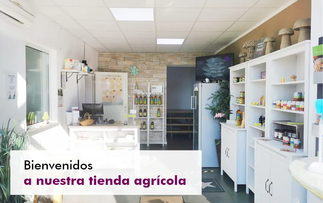 MycoVital_ Interior de un luminoso almac&eacute;n agr&iacute;cola con estanter&iacute;as de productos, un frigor&iacute;fico, plantas y una pared de piedra de acento. El texto en espa&ntilde;ol dice: Bienvenidos a nuestra tienda agr&iacute;cola.