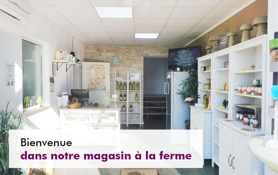 MycoVital_ Int&eacute;rieur lumineux d'un magasin de ferme avec des &eacute;tag&egrave;res blanches remplies de bocaux et de produits, un r&eacute;frig&eacute;rateur et un comptoir. Un panneau en fran&ccedil;ais indique : "Bienvenue dans notre magasin &agrave; la ferme".