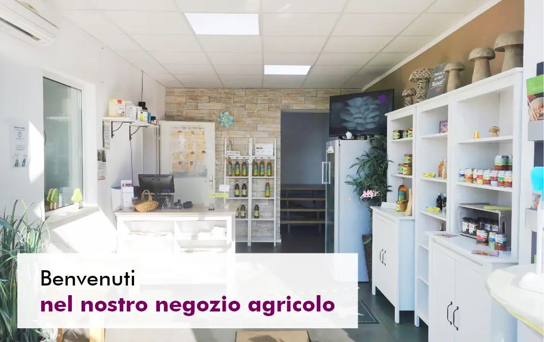 MycoVital_ Interno di un negozio agricolo moderno e luminoso, con scaffali che espongono vasi e prodotti, un bancone con un computer, piante e un'insegna in italiano che recita "Benvenuti nel nostro negozio agricolo".