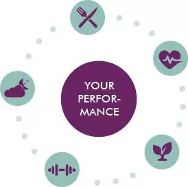 MycoVital_ A central purple circle labeled Your Performance is surrounded by icons representing sleep, exercise, healthy eating, heart health, and plant-based nutrition on a white background.