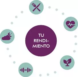 MycoVital_ Infograf&iacute;a con un c&iacute;rculo central morado etiquetado TU RENDIMIENTO, rodeado de iconos de un plato con comida, un coraz&oacute;n con latidos, una planta, una mancuerna y un plato con utensilios.
