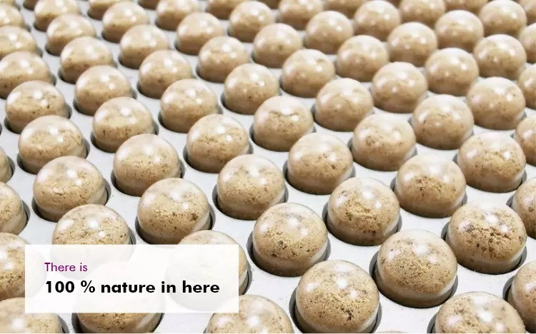 MycoVital_ Rows of round, light brown balls are arranged neatly on a tray. A text box in the bottom left corner reads: There is 100% nature in here.
